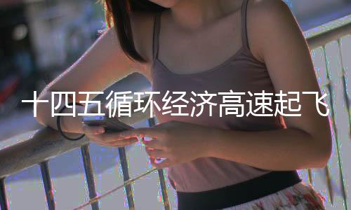 十四五循环经济高速起飞,粤丰环保如何乘风而上?